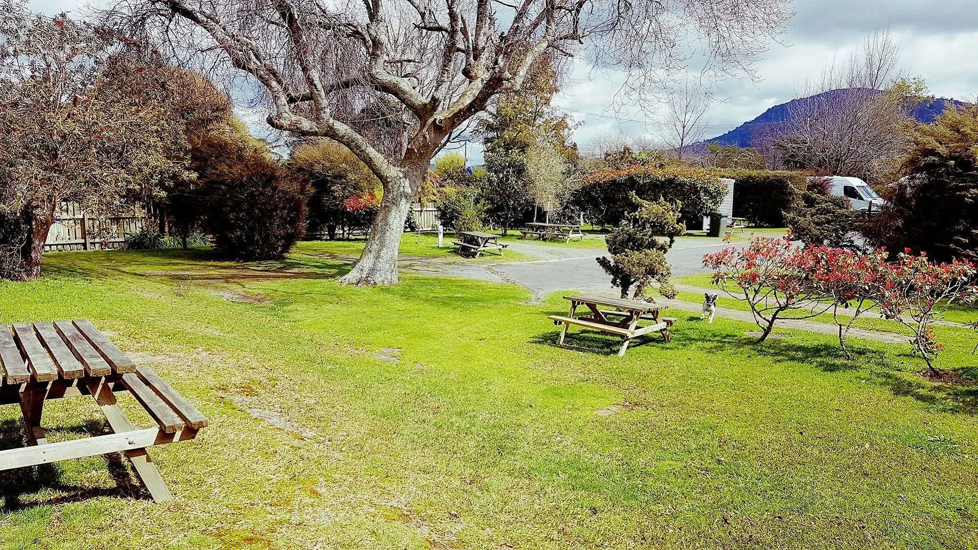 **  Cosy Cottage Thermal Holiday Park Rotorua New Zealand